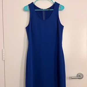 Ann Taylor royal blue business casual dress, size 10